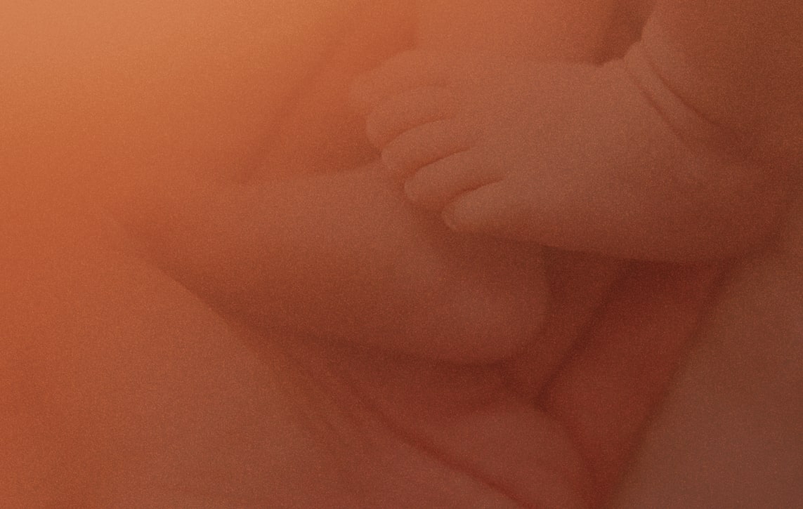 Westmead Fertility Centre