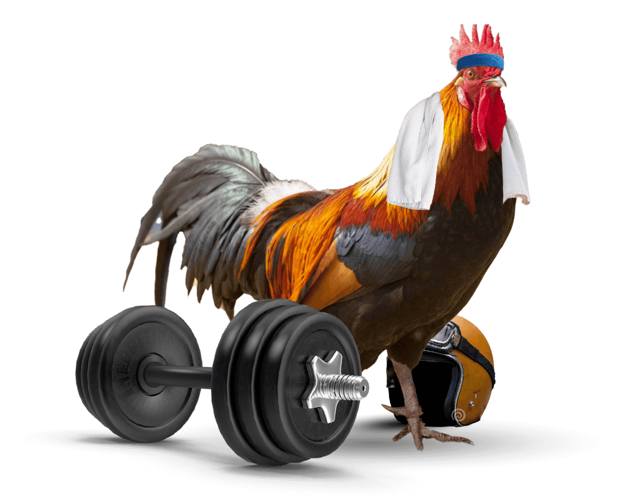 Wilde Chicken
